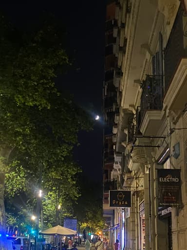 Pre-DIS Trip - Barcelona